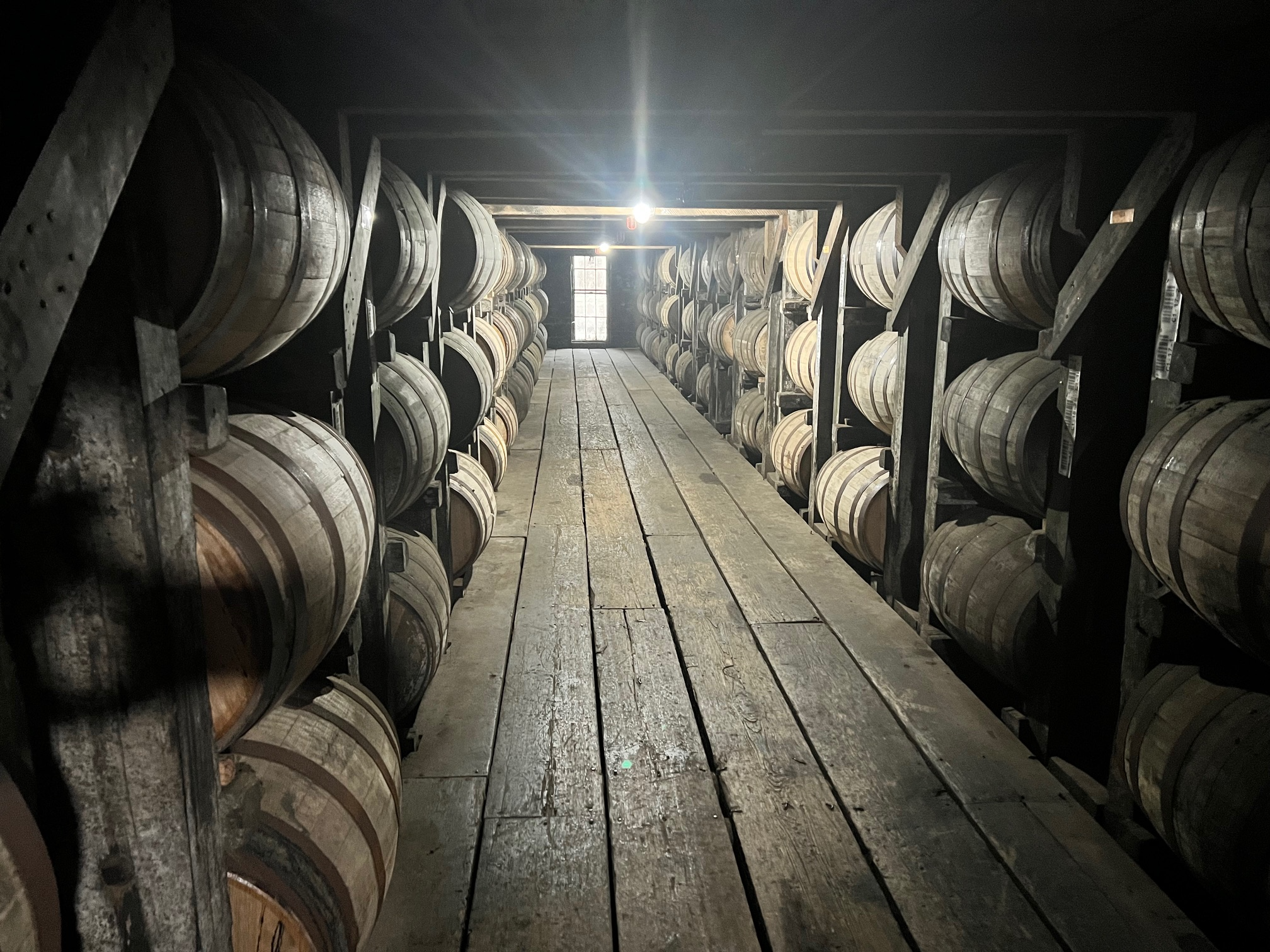 rows of whiskey barrels